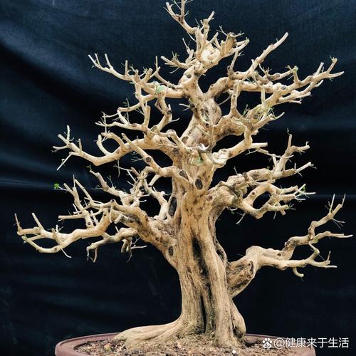 职场励志短句_职场励志_职场励志故事小故事及感悟