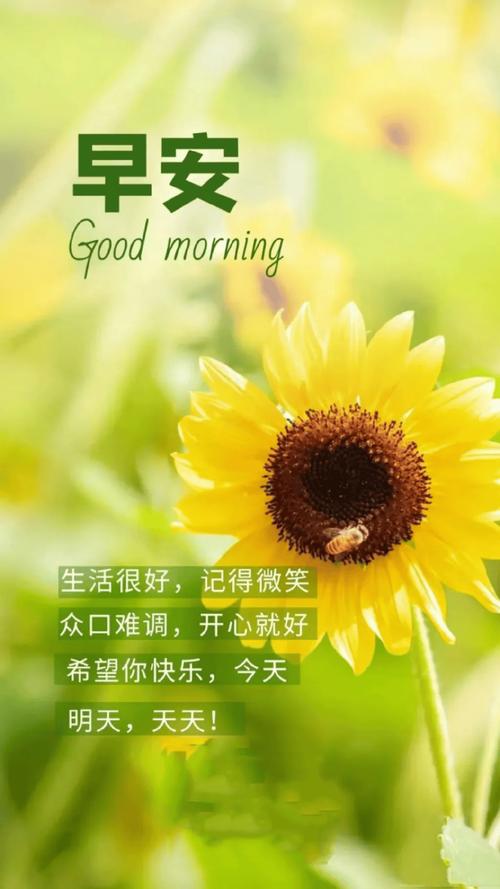 职场早安正能量句子励志_职场早安励志语录_职场励志早安心语