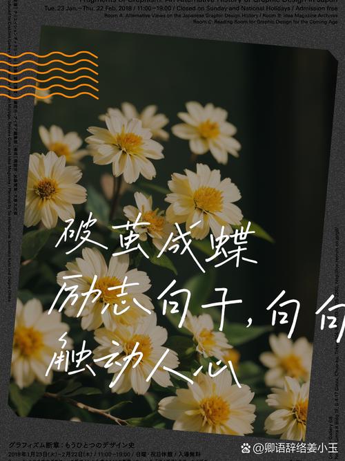 职场正能量励志_职场励志正能量_职场励志能量文案