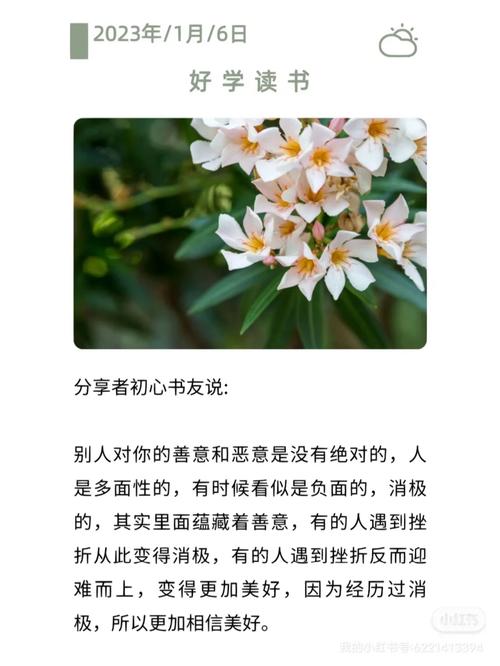 职场励志小文章_女性职场励志小说_好看职场励志都市小说