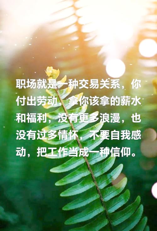 必看职场电影_职场励志经典电影_职场励志电影排行榜前十名