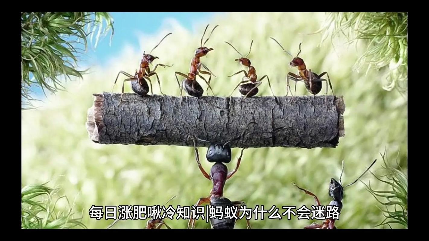 职场励志小故事及感悟_职场励志感悟故事小结_职场励志小故事及感悟50字