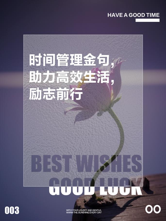 名言职场励志句子_名言名句职场_职场励志名言