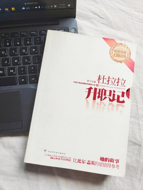 杜拉拉升职记中的职场礼仪_杜拉拉升职记职场问题_杜拉拉升职记中的职场规则