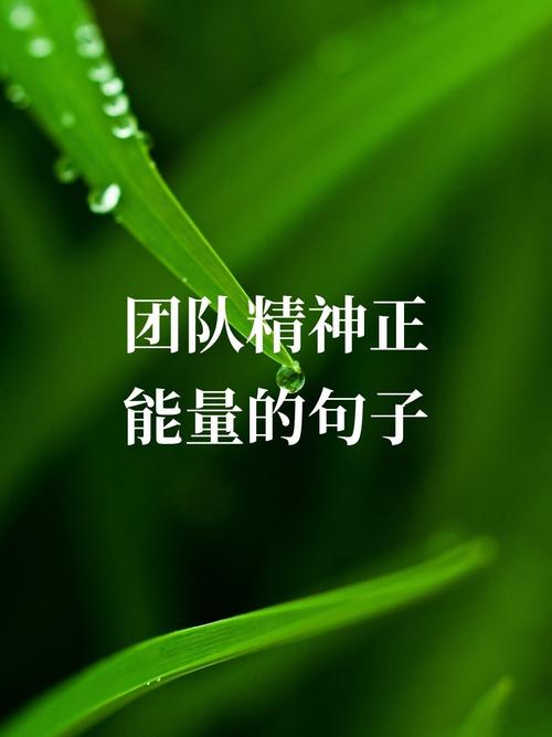 职场鼓励团队激励的话语_关于职场团队的正能量的励志句子_励志语录经典短句团队工作