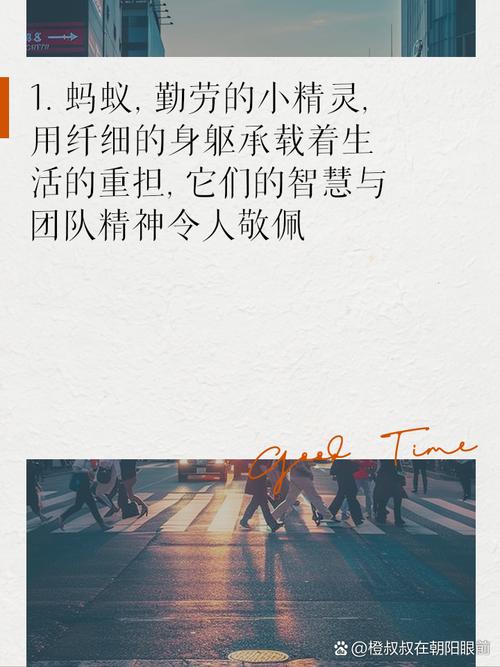 职场励志文章精选800字_职场励志文章精选_职场励志的文章