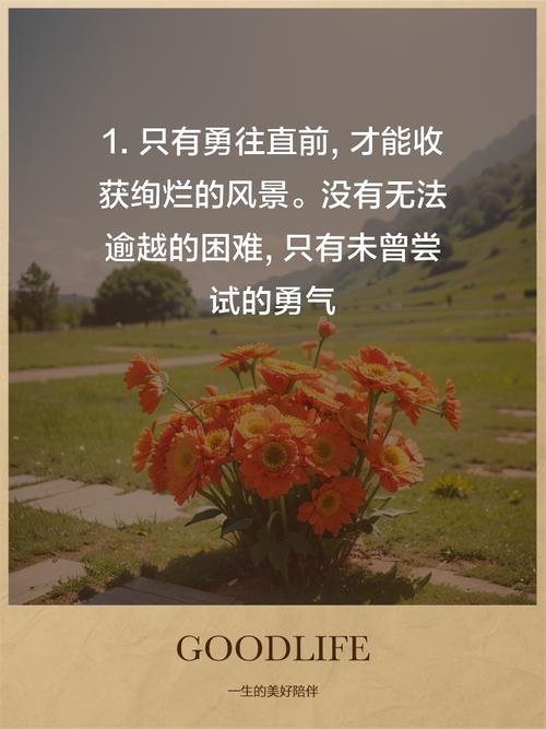 职场理想励志语录_语录职场励志理想的句子_职场励志语言