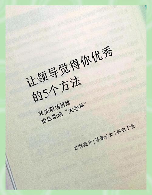 杜拉拉升职记中的职场礼仪_杜拉拉升职记中的职场规则_杜拉拉升职记职场问题