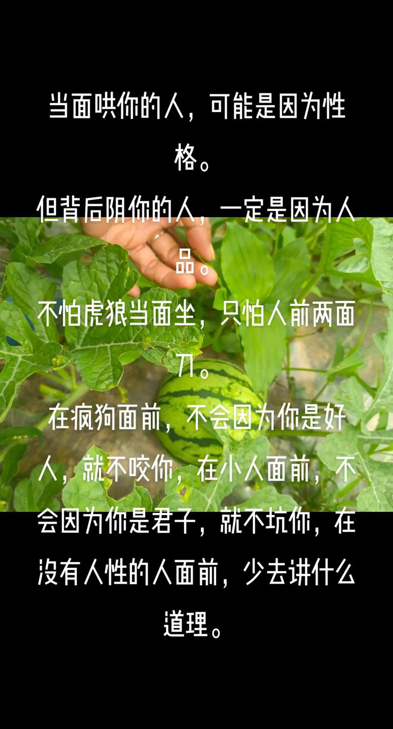 职场励志故事小故事及感悟_职场励志故事正能量故事及感悟_职场 励志故事