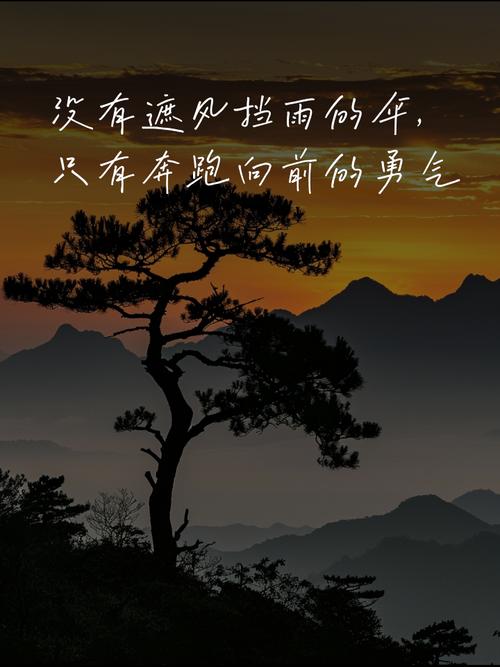 职场励志文章_自我选择效应_职场励志文章