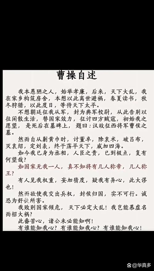 魏武帝曹操逆袭故事_职场楷模的励志故事_曹操职场逆袭之路