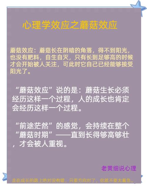 职场新人如何度过蘑菇期_职场新人蘑菇期经历_职场励志言情小说