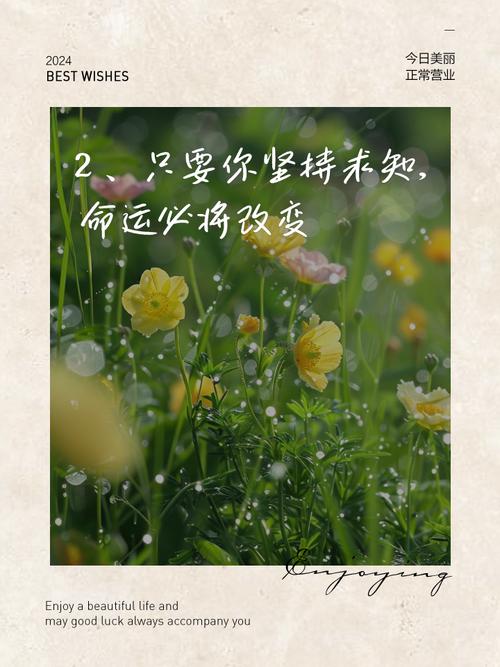 史蒂夫·乔布斯名言解读_励志名言应用_职场成功的励志名言名句