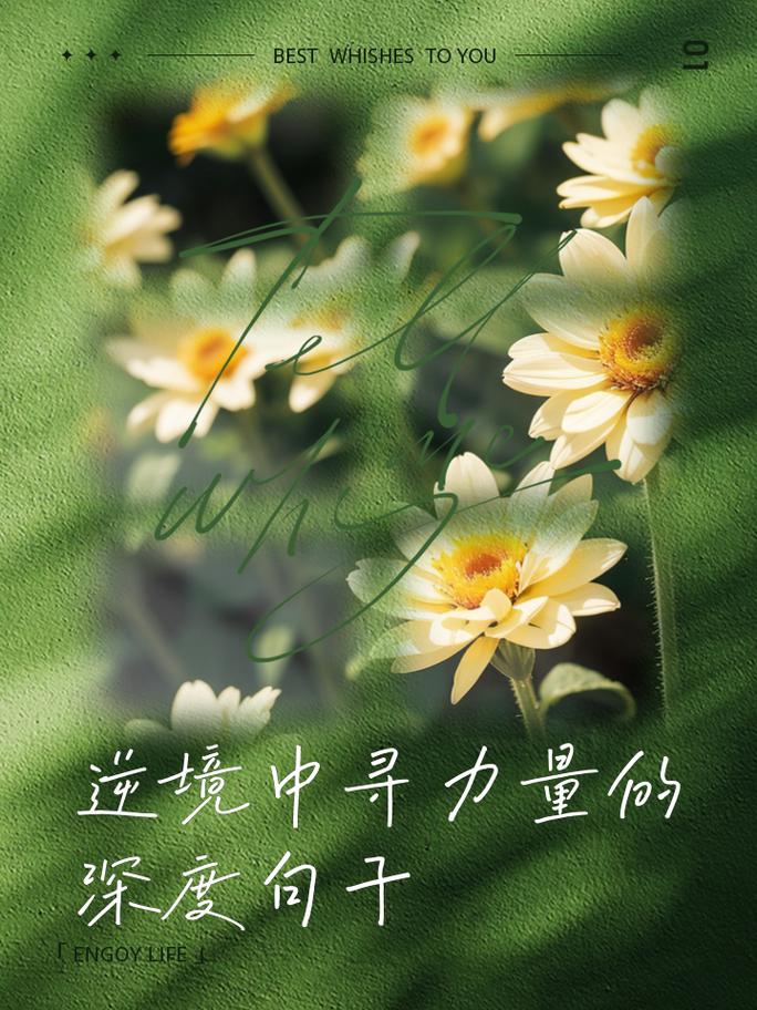 磨砺成长心理学_职场励志文章,题目新颖_生活挑战应对策略