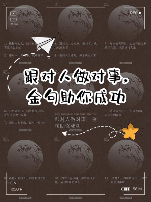 励志人生感悟_职场正能量语录_职场励志语录大全