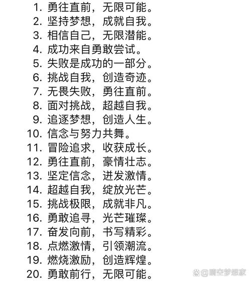 坚持奋斗SEO关键词 _职场正能量语录集励志_ 梦想实现策略 