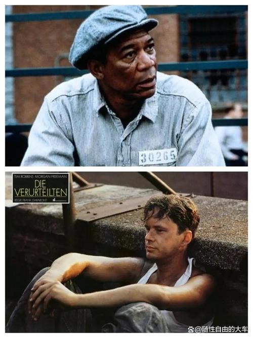 职场励志电影前十名_肖申克的救赎 希望与自由主题电影 _ 霸王别姬 京剧演员时代变迁电影