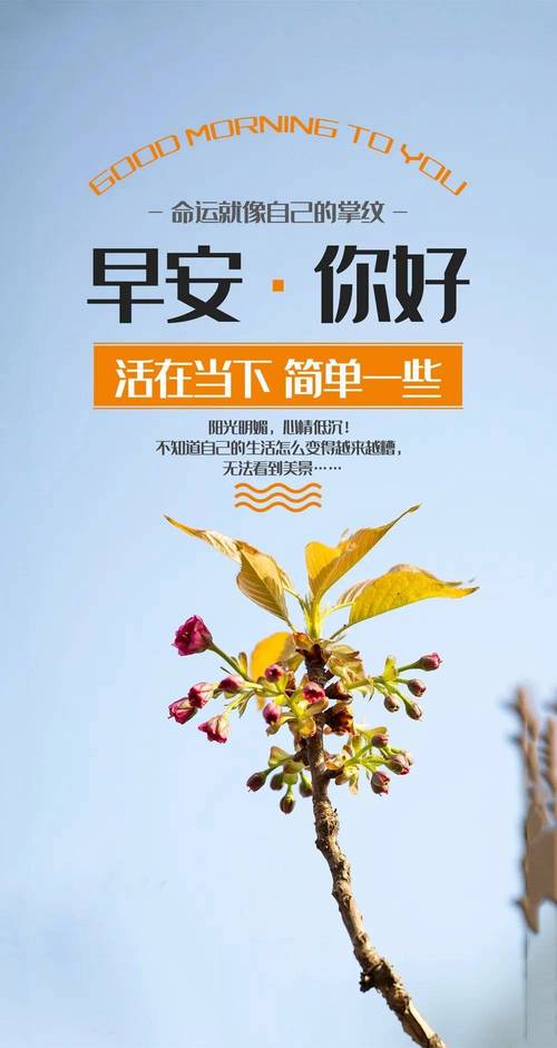 正能量早安心语_职场励志早安心语_职场早安励志语录