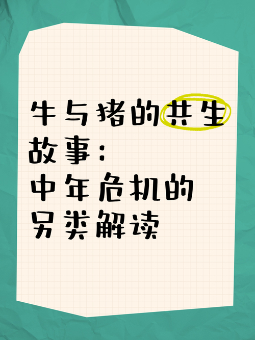 职场适合看的励志视频_猪羊牛畜栏故事_职场正能量故事