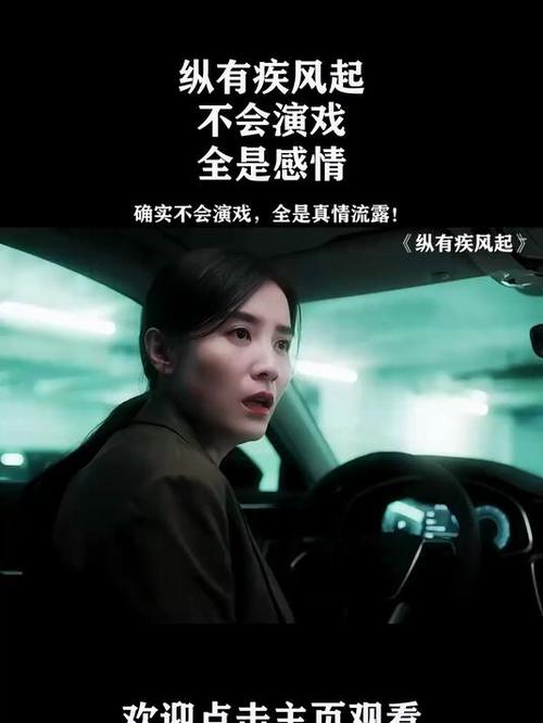 都市职场励志电视剧__ 纵有疾风起 剧情bug