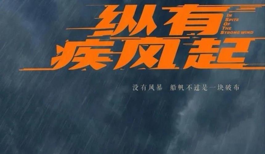 _都市职场励志电视剧_ 纵有疾风起 剧情bug