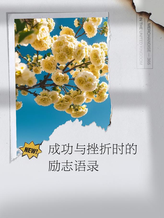 职场励志文章读后感_职场励志书读后感_把握人生秀自己心得