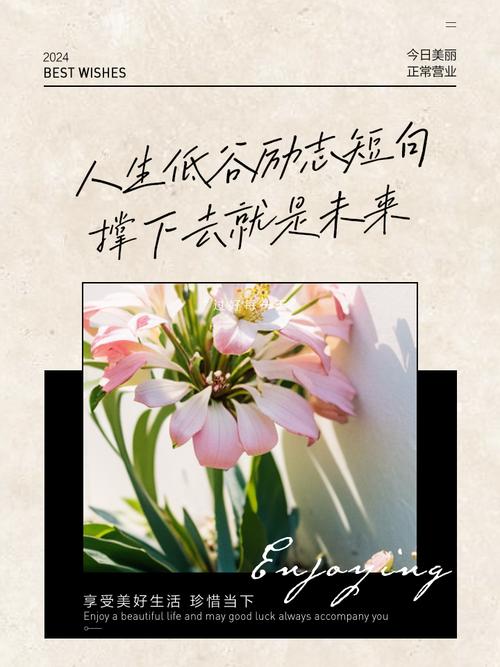 职场励志心灵鸡汤文章_人生低谷期正能量_心灵鸡汤励志短文