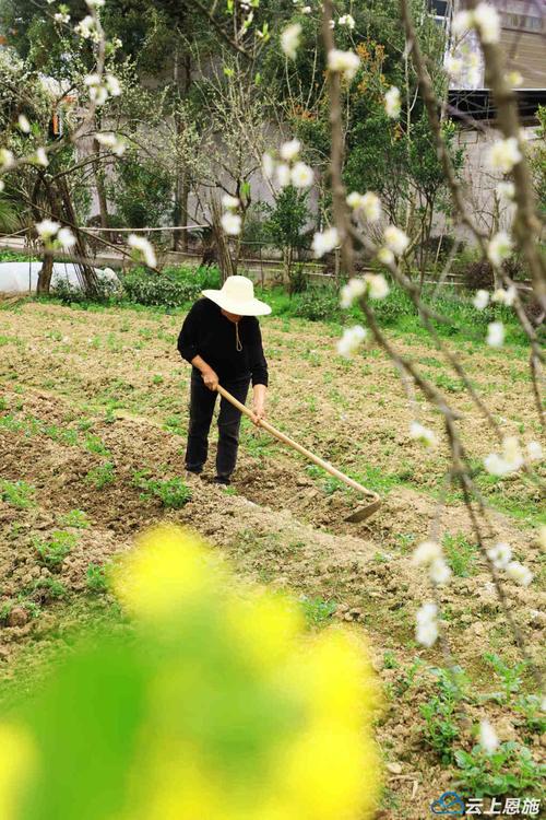 职场励志五分钟小故事_职场春耕智慧_职场深耕者收获