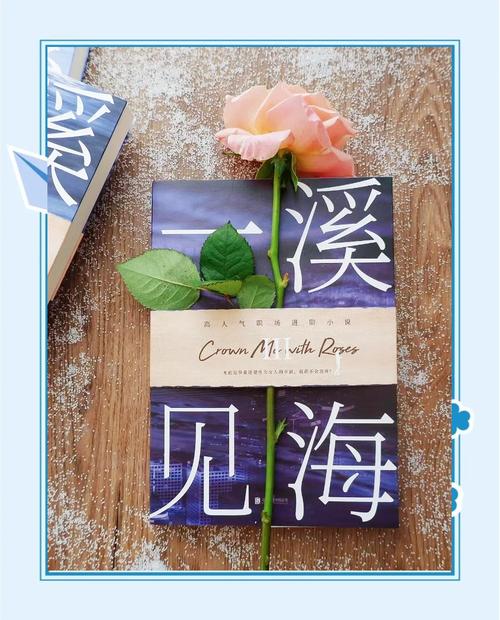 职场励志小说排行_ 职场心智培训教材 _女性职场小说《一溪见海》