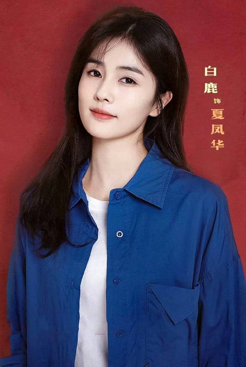 女性职场励志电视剧_北上电视剧女性角色_白鹿饰演女主角追梦