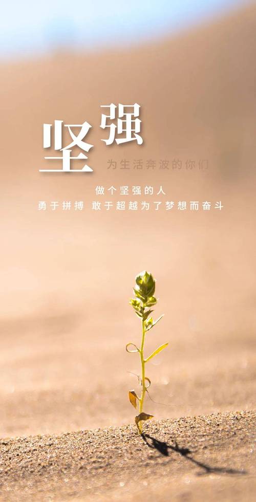 正能量语录图片分享_朋友圈励志语录大全_职场励志语录图片大全