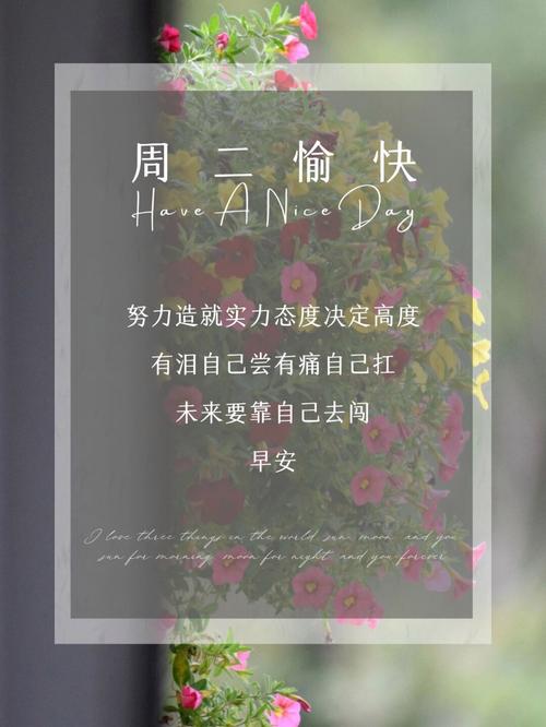 坚持梦想实现_努力向上生活态度_职场励志语录图片大全