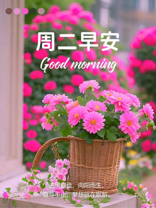 职场励志语录图片大全_坚持梦想实现_努力向上生活态度