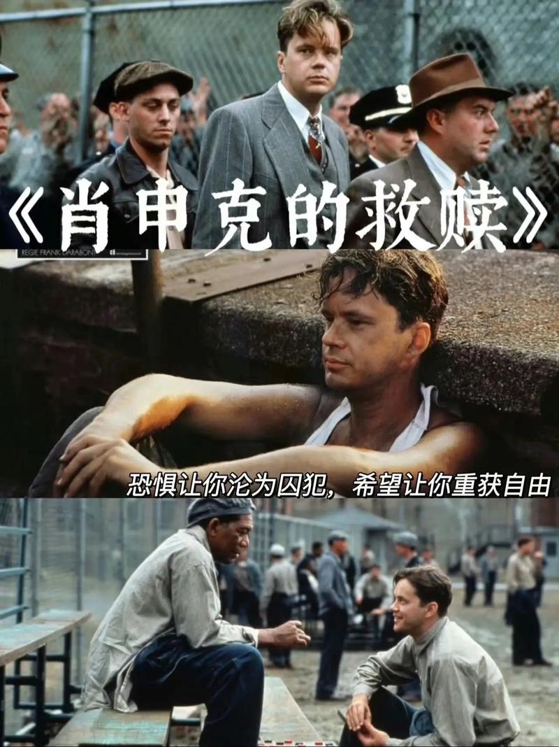 经典励志电影排行_职场必看的十部经典励志电影_豆瓣评分9.6肖申克的救赎