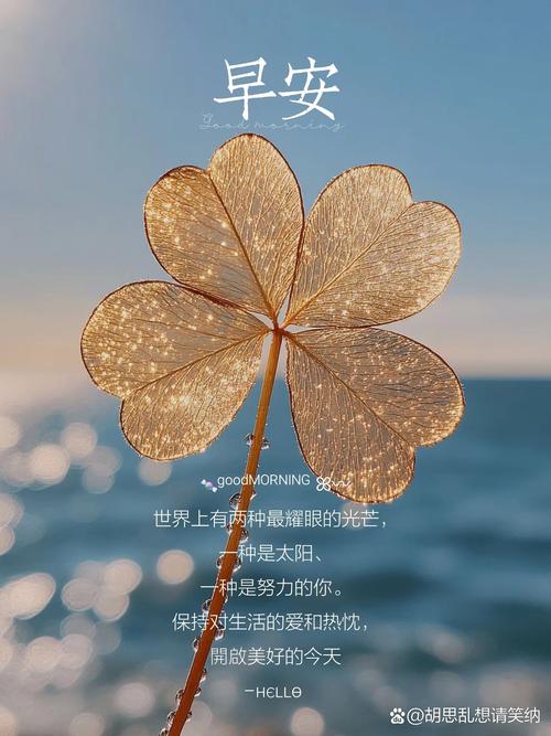 早安正能量_职场励志语录_职场早安励志语录