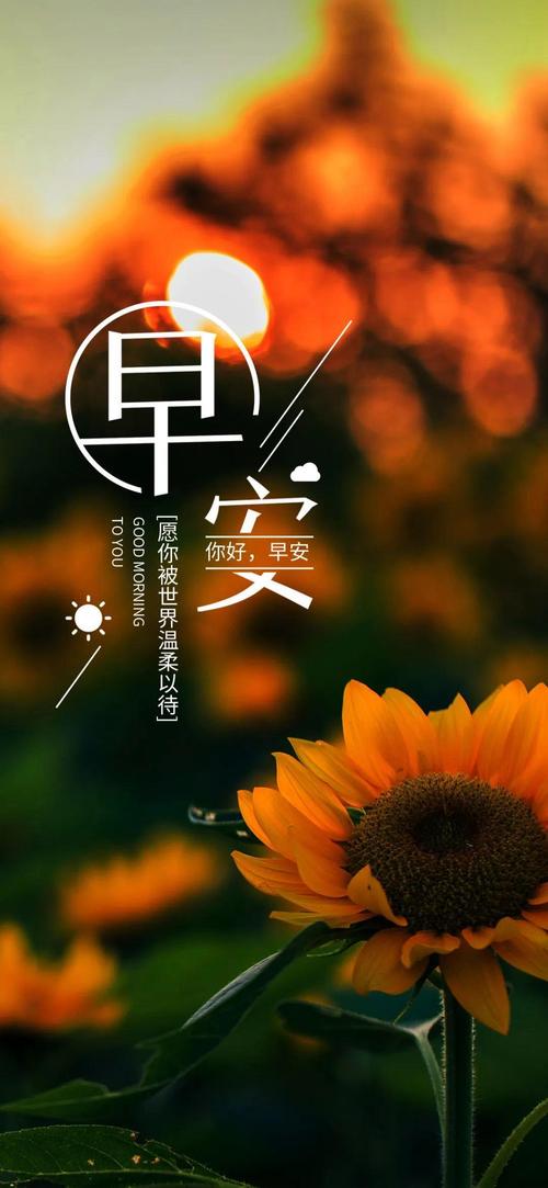 职场早安励志语录_职场励志语录分享_职场早安心语正能量励志语录