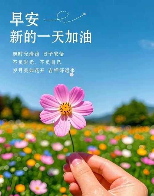 早安心灵鸡汤励志职场_努力生活SEO关键词_积极心态奋斗