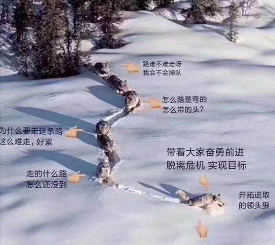 职场励志口号大全_团队牺牲 职场毒鸡汤 团队合作陷阱