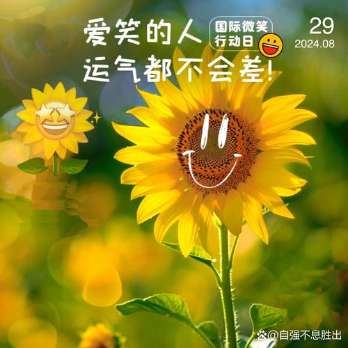 阳光正能量句子_职场励志图片带字_人生智慧成全他人