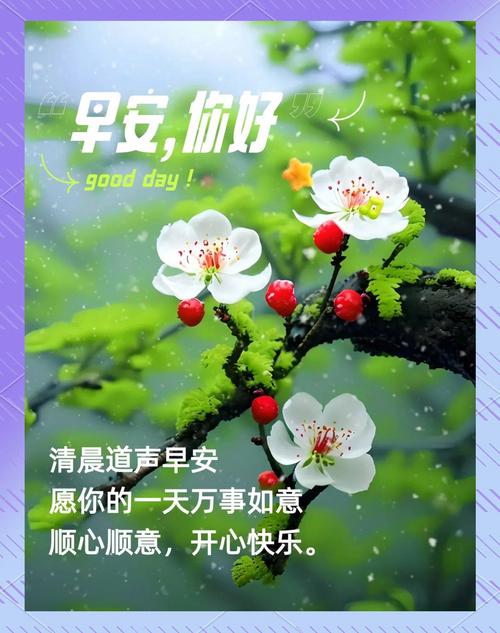 奋斗与快乐_人生心态与财富_职场励志图片带字