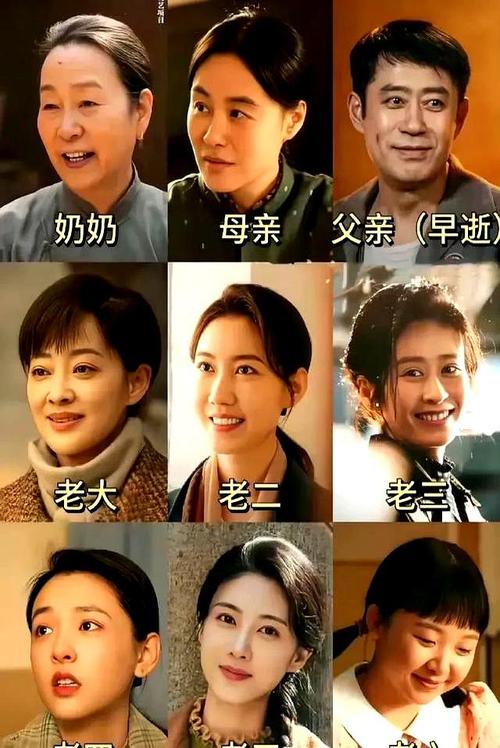 近三年最好的年代剧_2025年年代剧《北上》_好看的职场励志电视剧