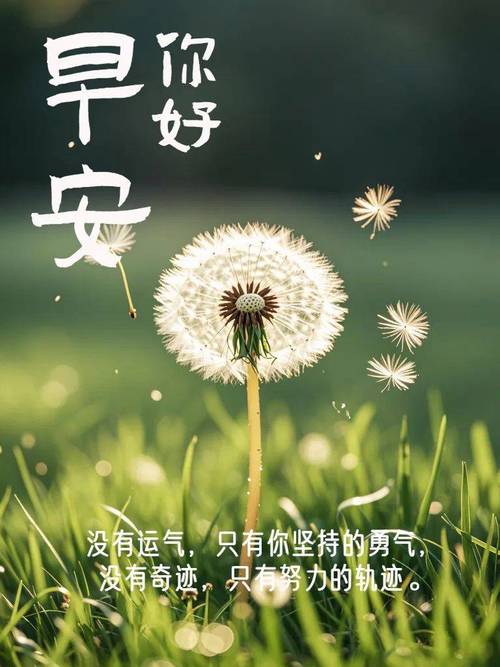 职场正能量语录集励志_正能量励志语录_励志名言锦集