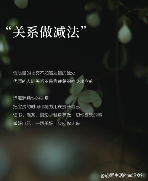 中年生活智慧_中年心灵鸡汤_职场励志语录心灵鸡汤