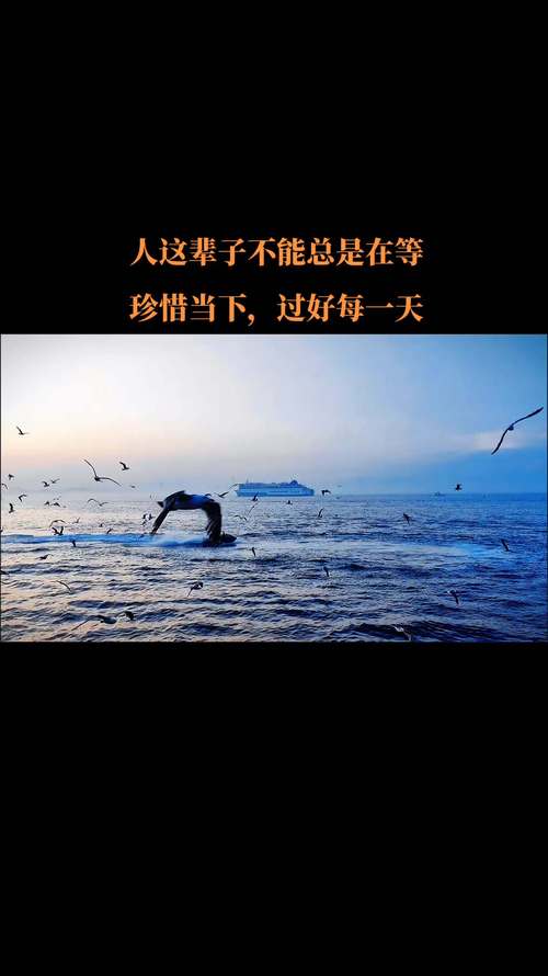 拖延与效率_珍惜生活与工作_职场受委屈励志语录