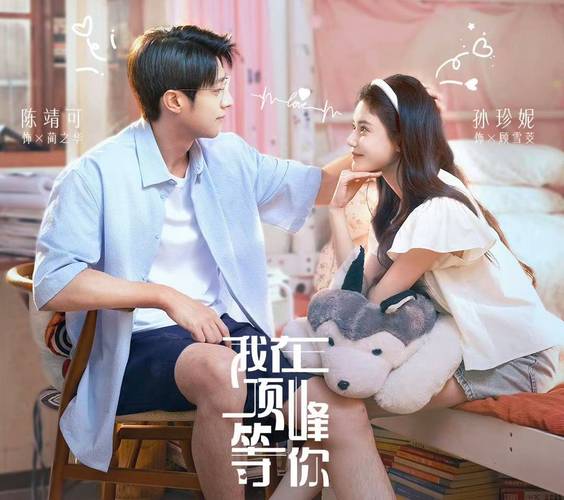 孙珍妮 陈靖可主演 _励志电视剧 职场_都市奇幻剧《我在顶峰等你》