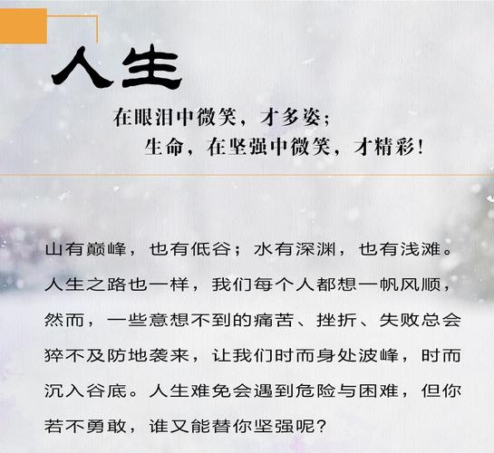 早安心灵鸡汤励志职场_经典励志语录集锦_2024年心灵鸡汤励志语录