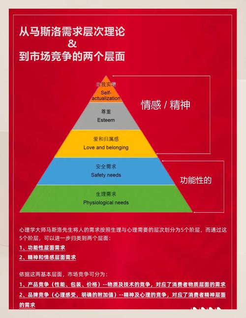 灿烂人生掀风潮！多维度解析其市场表现与深层意义