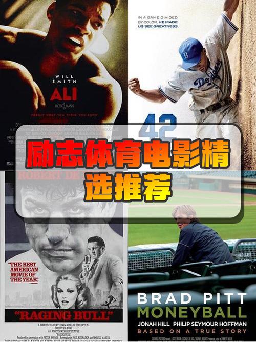 现实社会痛点折射_体育电影励志元素_中国职场励志电影