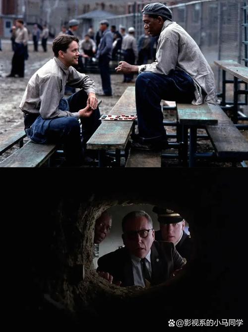 职场励志电影大全：当幸福来敲门与肖申克的救赎的别样故事？