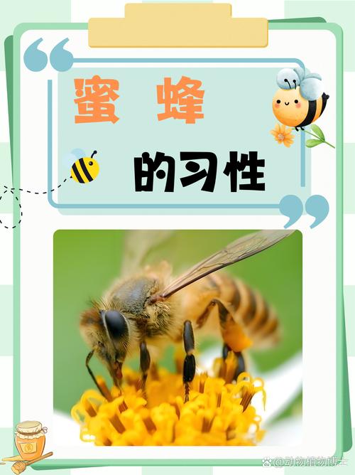 职场励志的书_职场励志_不要成为勤劳的蜜蜂_学会享受生活